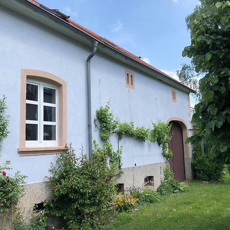 Ferienwohnung Maurer Hasborn-Dautweiler Eksteriør bilde