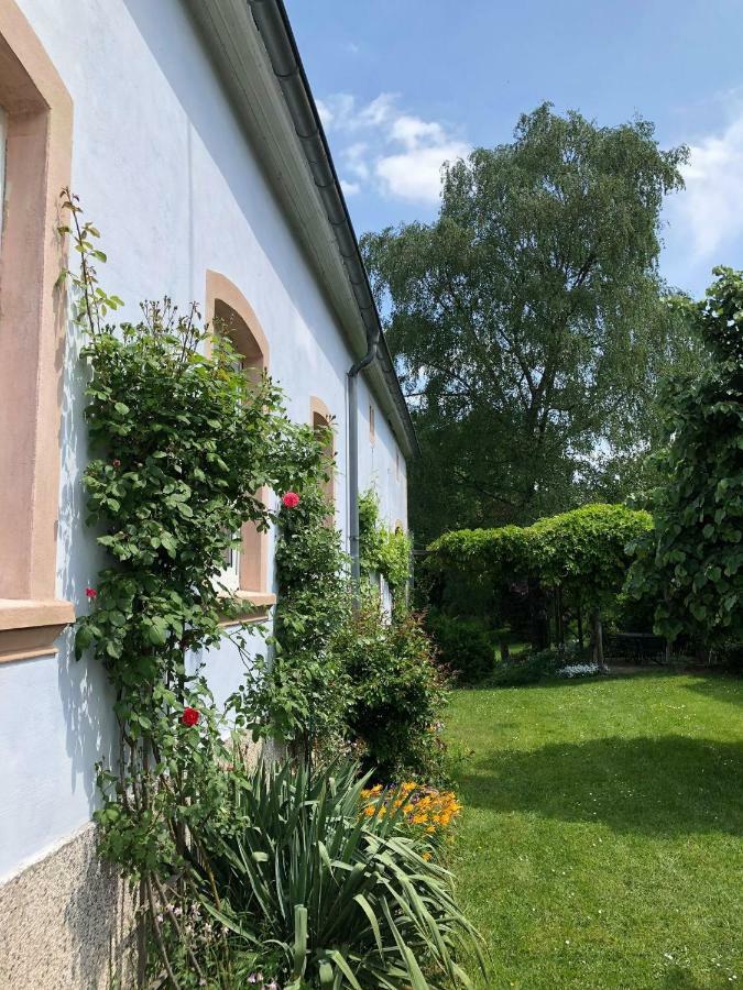 Ferienwohnung Maurer Hasborn-Dautweiler Eksteriør bilde